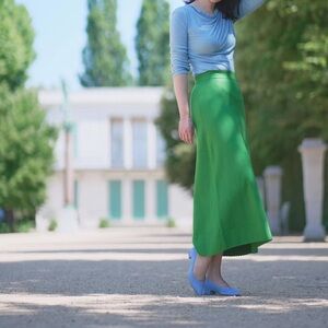 NWOT francine skirt s